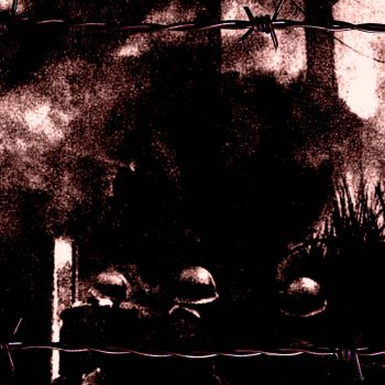 Drowned in Torment - Merciless Decimation (2025)