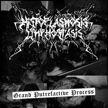 Histoplasmosislymphostasis - Grand Putrefactive Process (2025)