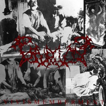 Обложка: Pseudo Coma - Vivismemberment (2025)