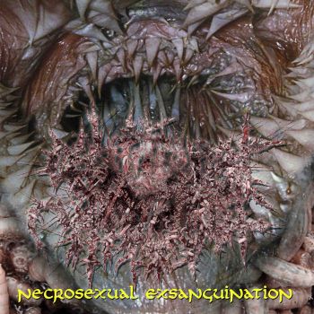 Guttural Maggot - Necrosexual Ensanguinatio (2025)