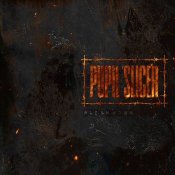 Pupil Slicer - Fleshwork (2025)