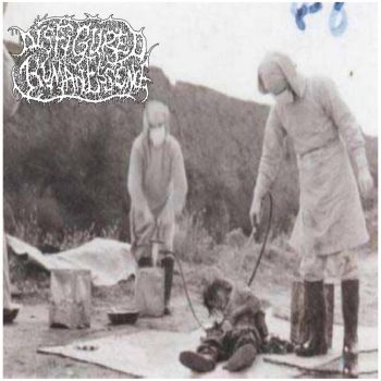 Disfigured Human Essence - The Influence of Strange (2025)