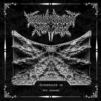Annihilation Vortex - Disgrace Is My Name (2025) Обложка: Annihilation Vortex - Disgrace Is My Name (2025)