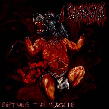 Обложка: Cult of Crow - Birthing the Muzzle (2025)