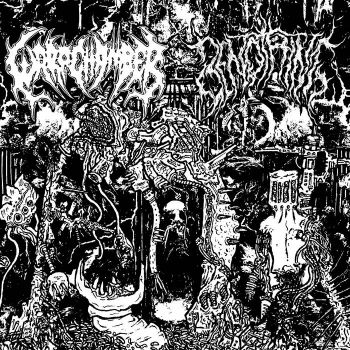 Warp Chamber / Benothing - Split (2025) Обложка: Warp Chamber / Benothing - Split (2025)