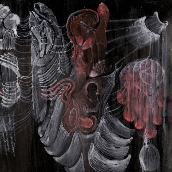 Strigiform - Aconite (2025) Обложка: Strigiform - Aconite (2025)