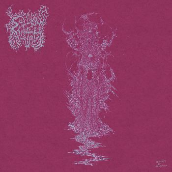 Sallow Moth - Deformity in Ceremony (2025) Обложка: Sallow Moth - Deformity in Ceremony (2025)