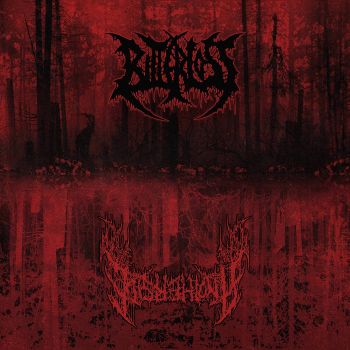 Anotherside / Bitter Loss - Split (2025) Обложка: Anotherside / Bitter Loss - Split (2025)