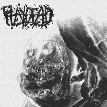 Обложка: Playdead - Play Dead (2025)