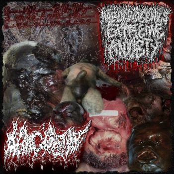 Обложка: Hallucinogenics Extreme Anxiety + Morgue Tar - Consumiendo Alucin?genos en Una Morgue Llena de Alquitran y Teniendo Relaciones Sexuales Con Cuerpos Hinchados y Vergas Repletas de Gusanos (2025)