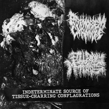 Обложка: Postmortem Carnivore / Full Bodily Metastasis - Indeterminate Source of Tissue-Charring Conflagrations (2025)