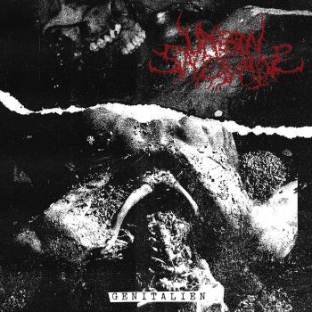 Unborn Salivate - Genitalien (2025) Обложка: Unborn Salivate - Genitalien (2025)