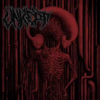 Unkept - Unkept (2025) Обложка: Unkept - Unkept (2025)