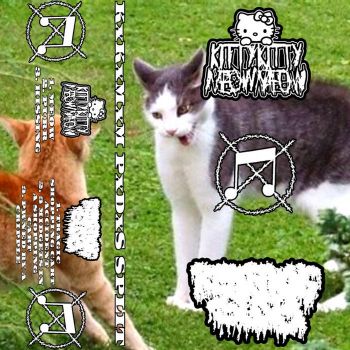 Kitty Kitty Meow Meow / xPISSxDRINKINGxSLUTSx - Split (2025) Обложка: Kitty Kitty Meow Meow / xPISSxDRINKINGxSLUTSx - Split (2025)