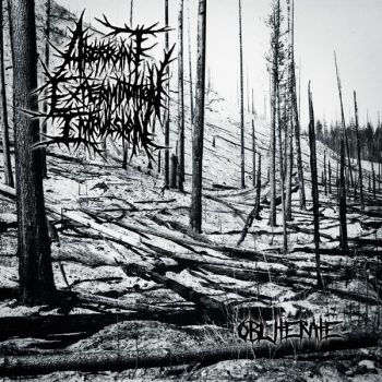 Aberrant Extermination Impulsion - Obliterate (2025) Обложка: Aberrant Extermination Impulsion - Obliterate (2025)