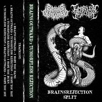Brains Outward / Tumorflesh Rejection - BrainsRejection Split (2025) Обложка: Brains Outward / Tumorflesh Rejection - BrainsRejection Split (2025)
