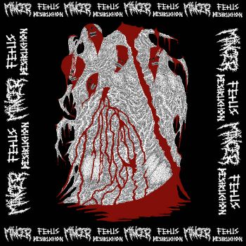 Mincer / Fetus Destruction - Split (2025)
