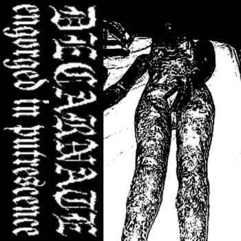 Decarnate - Engorged in Putrescence (2025)