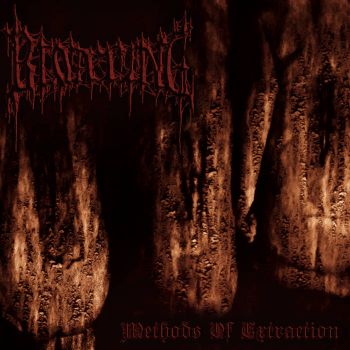 Bloating - Methods of Extraction (2026)