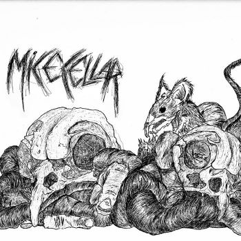 Micecellar - Micecellar (2026)