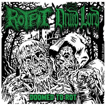 Druid Lord / Rotpit - Doomed to Rot (2025)
