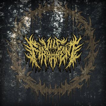 Vile Firmament - Vile Firmament (2026)