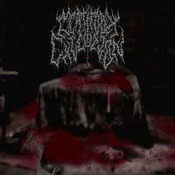 Meathook Execution - Display of Chopped Up Sluts (2026)