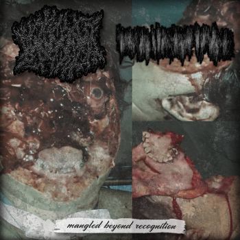 Fetid Putridity / Regurgitasi - Mangled Beyond Recognition (2026)