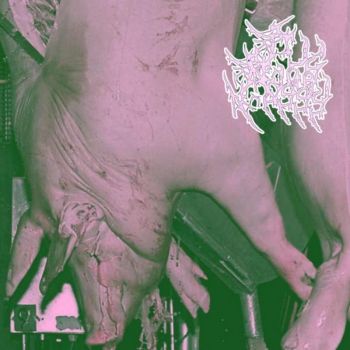 Pig Pussy - Necropiglia II (2026)