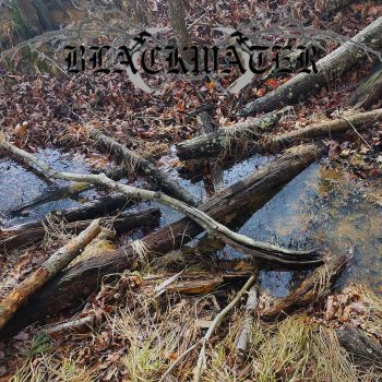 Blackwater - Feasting on the Lifeblood of the Damned (2024)