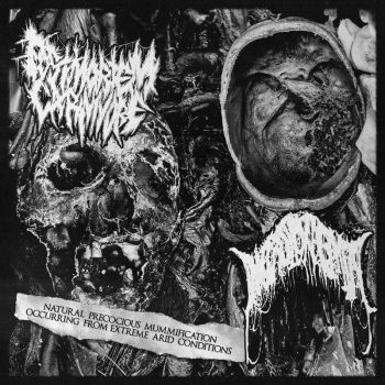 Postmortem Carnivore / Necrotoxaemia - Natural Precocious Mummification Occurring from Extreme arid Conditions (2026)
