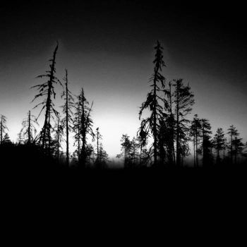 Black Cloud Man - The Meadows of Silence (2026)