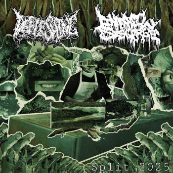 Defleshing / Entrail Disgorge - Split (2025)