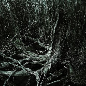 Flittering - Usurped (2026)