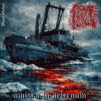Phoca Vitulina - Amissa in Aeternum (2026)