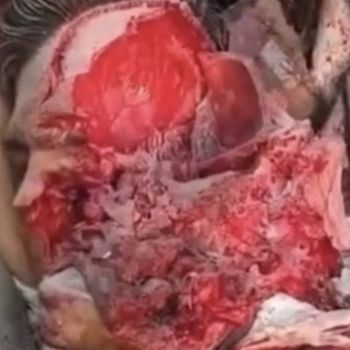 Carcass Mastication - Carcass Mastication (2026)