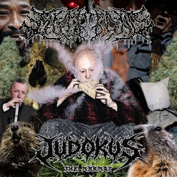 Meat Bong / Judokus the Marmot - Split (2026)