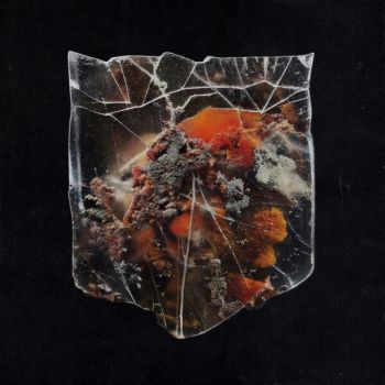 Shields - Death & Connection (2026)
