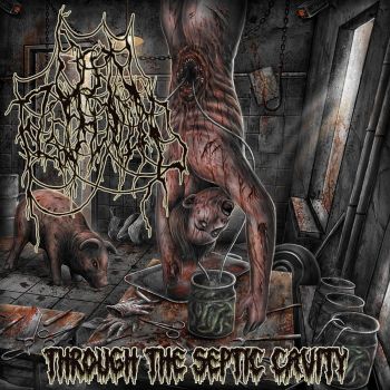 Open Flesh Wound - Through the Septic Cavity (2026)