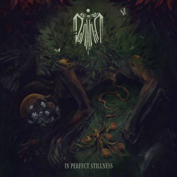 Domhain - In Perfect Stillness (2026)