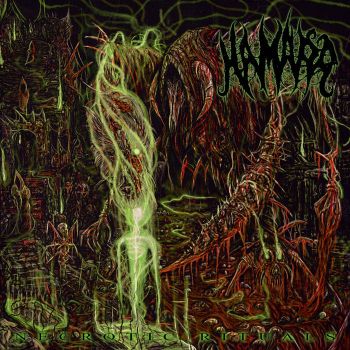 Hamarr - Necrotic Rituals (2026)