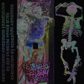 Genophobic Perversion - Comminuted Compound Fracturing of the Cranial Vault With Extrusion of Cerebral Contents (2026)