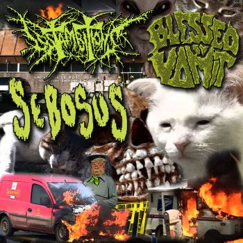Lost Ambitions / Blessed by Vomit / Sebosus - Post Office Frenzy (2026)