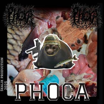 Phoca Vitulina - Phoca (2026)
