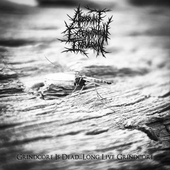Aberrant Extermination Impulsion - Grindcore Is Dead...Long Live Grindcore (2026)