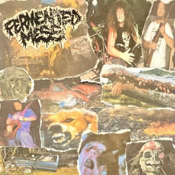 Fermented Mess / Harvester - Split (2026)
