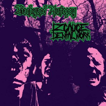 Backyard Autopsy / 12GaugeDentalWork - Split (2026)