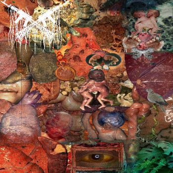 Visceral Disarray - Putrefaction in the Operating Theatre (2026)