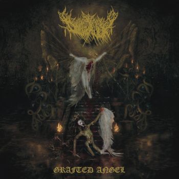 Dollhaver - Grafted Angel (2026)