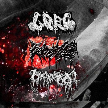 Goro / K9 Hemorrhoids / Nyctophagia - Split (2026)